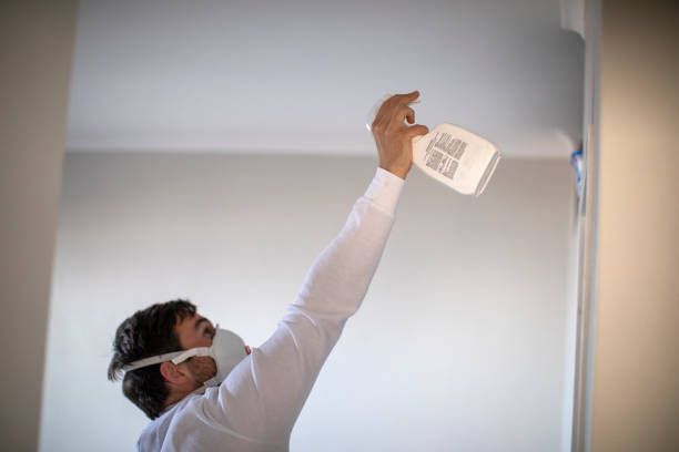 Best Black Mold Removal  in Gastonia, NC