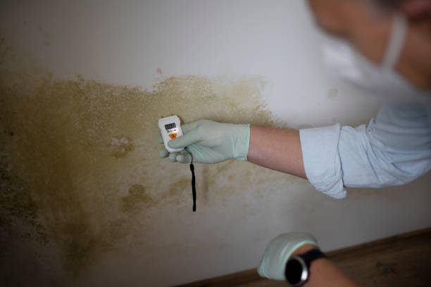 Best Commercial Mold Removal  in Gastonia, NC
